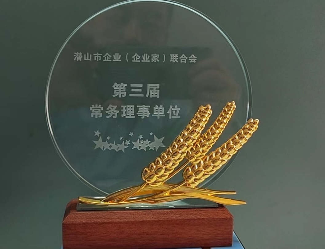 潛山市企業(yè)(企業(yè)家)聯(lián)合會第三屆常務理事單位